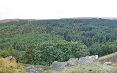 Walk 17: Foxlow Edge