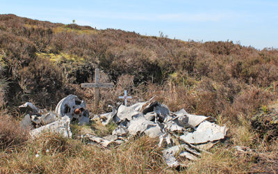 Air crash remains