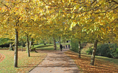 New Buxton to Goyt walk