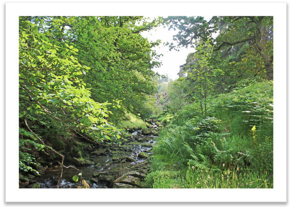 Beside the Goyt - Image 2