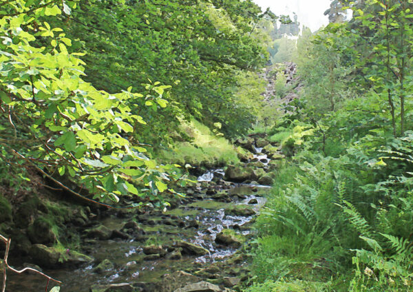 Beside the Goyt - Image 3