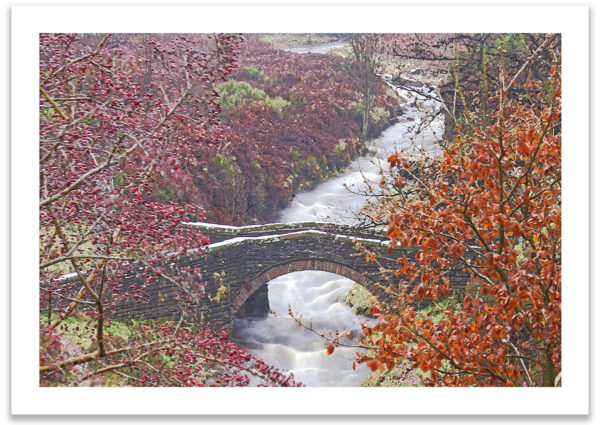 Packhorse Bridge in Autumn - Image 2