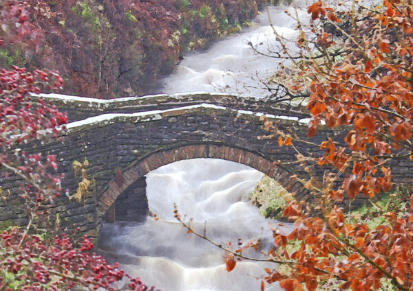 Packhorse Bridge in Autumn - Image 3