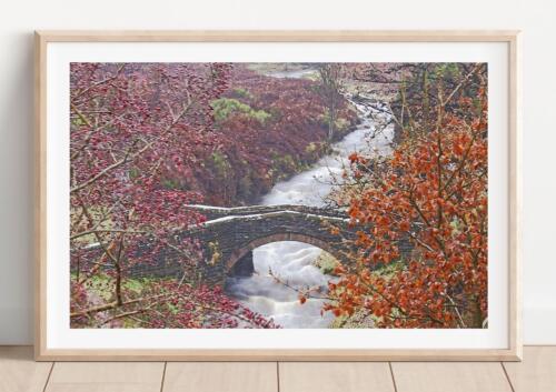 Packhorse Bridge in Autumn